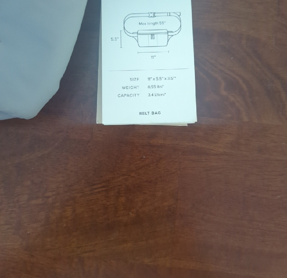 Calpak Gray Belt Bag - Picture 2 of 2